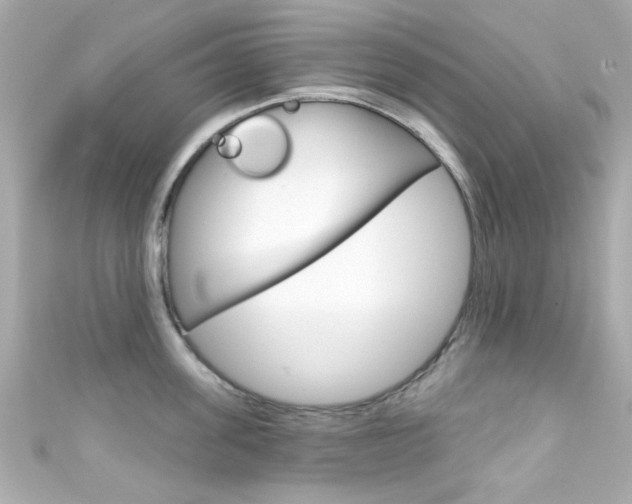 X0000111590955200907161150