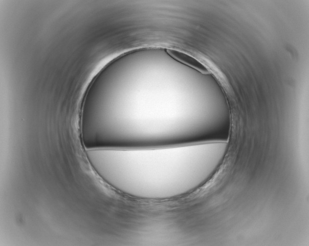 X0000111590956200907161150