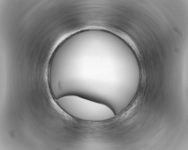 X0000111590958200907161150
