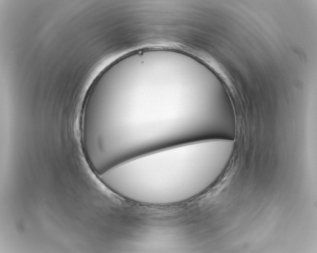 X0000111590959200907161150