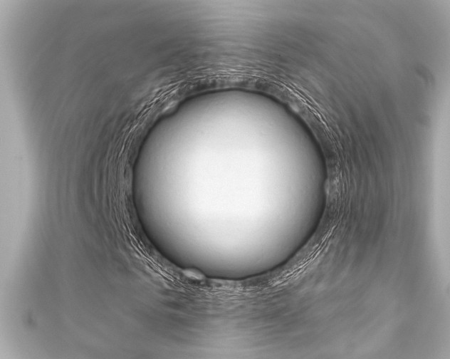 X0000111590961200907161150