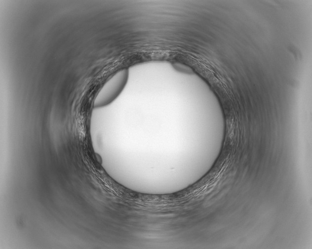 X0000111590962200907161150
