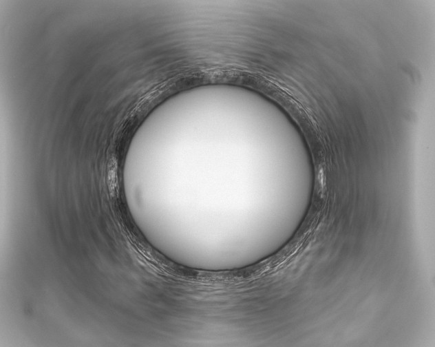 X0000111590963200907161150
