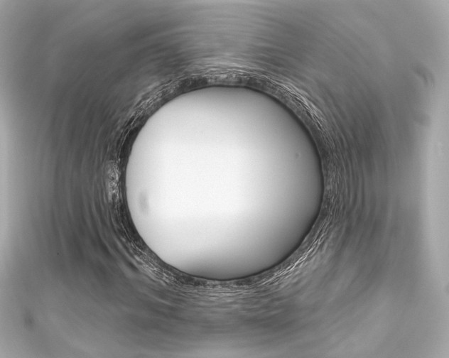 X0000111590964200907161150