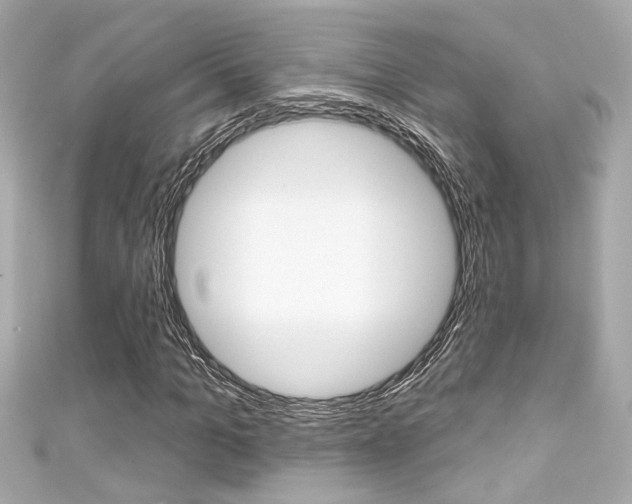 X0000111590965200907161150
