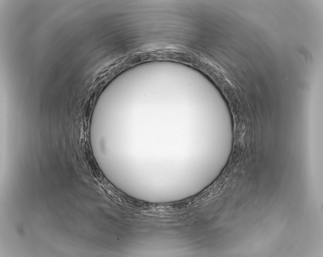 X0000111590966200907161150