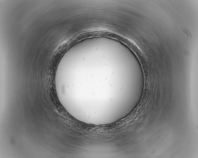 X0000111590967200907161150