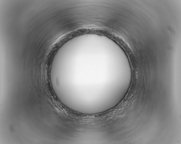 X0000111590968200907161150