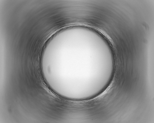 X0000111590969200907161150