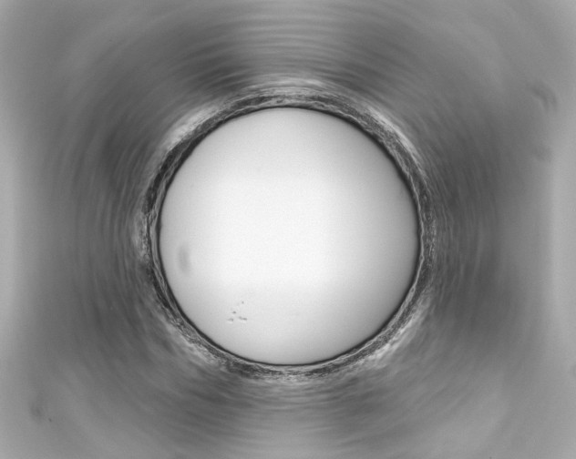 X0000111590970200907161150