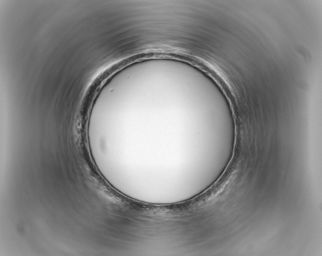 X0000111590971200907161149