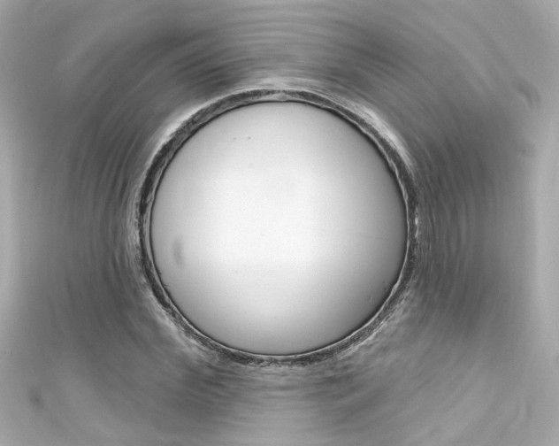 X0000111590972200907161149