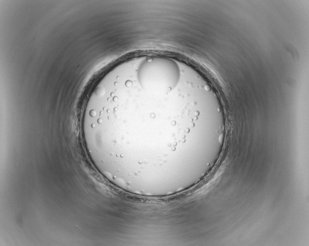 X0000111590974200907161149