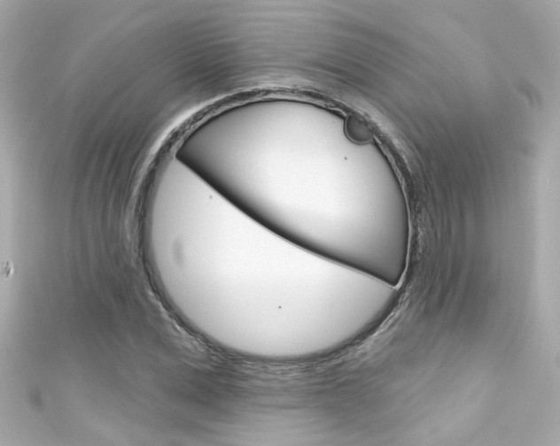 X0000111590975200907161149
