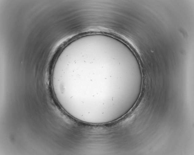 X0000111590979200907161149