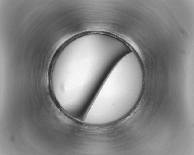 X0000111590980200907161149