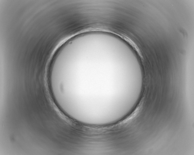 X0000111590981200907161149