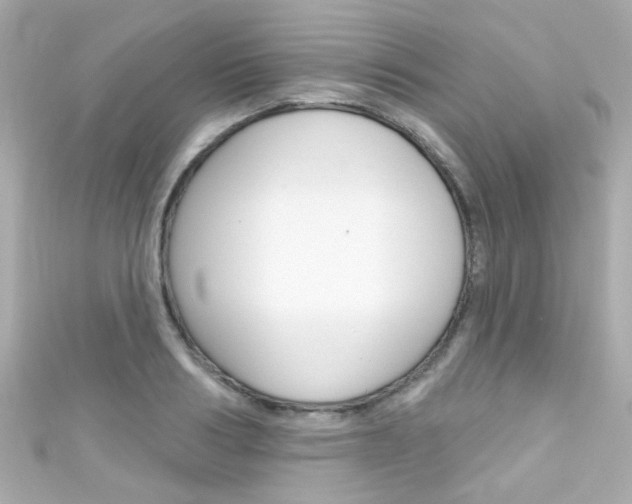 X0000111590986200907161149