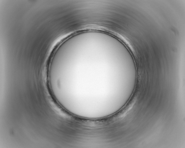 X0000111590987200907161149