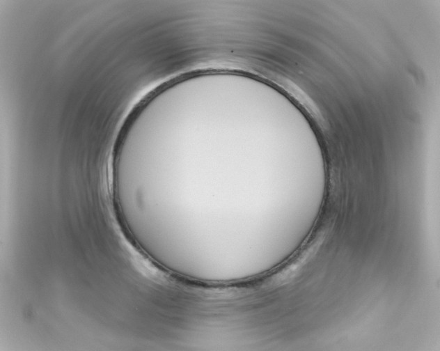 X0000111590988200907161149