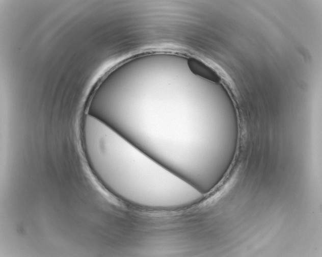 X0000111590989200907161149