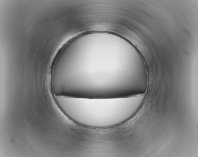 X0000111590992200907161149