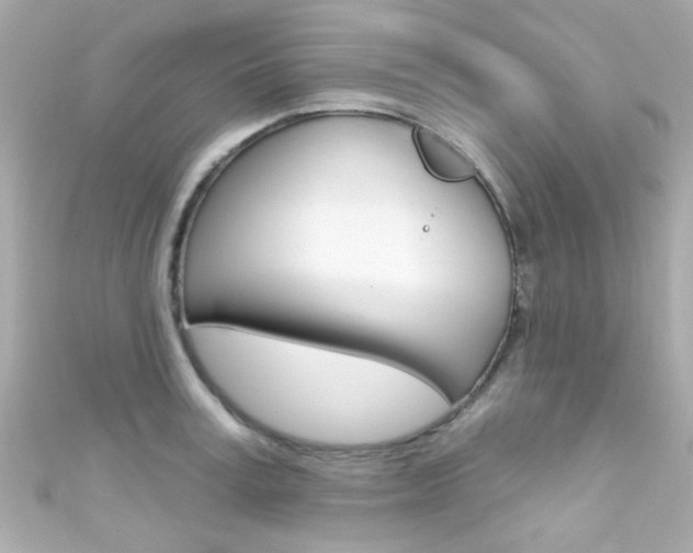 X0000111590995200907161149