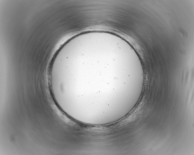 X0000111590998200907161149