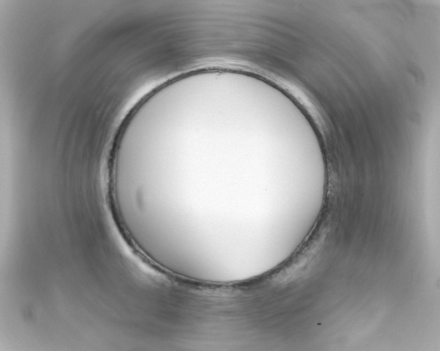 X0000111590999200907161149