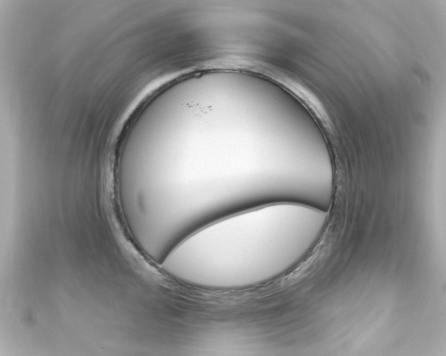 X0000111591000200907161149