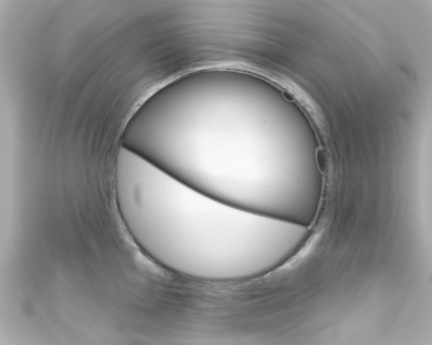 X0000111591001200907161149