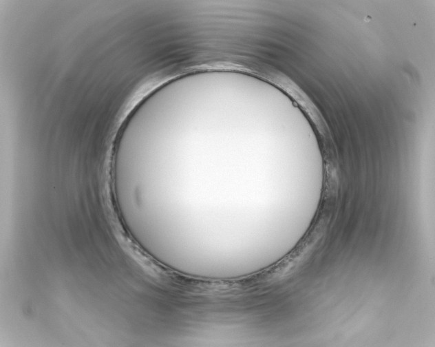 X0000111591002200907161149