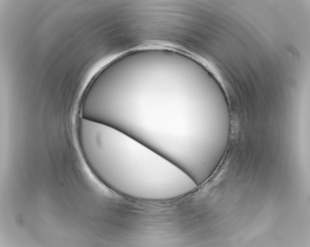 X0000111591003200907161149