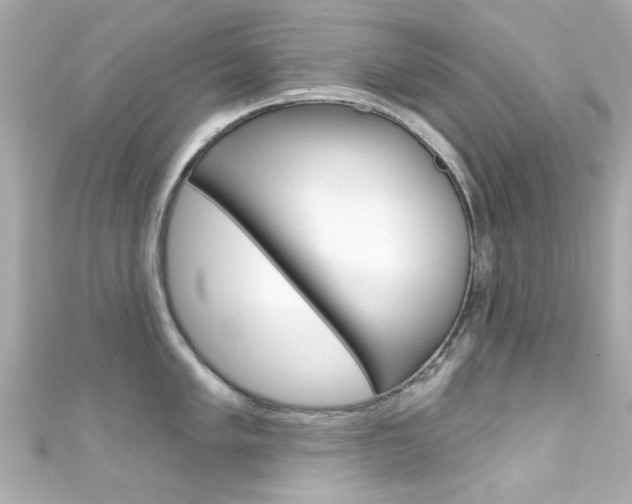 X0000111591005200907161149
