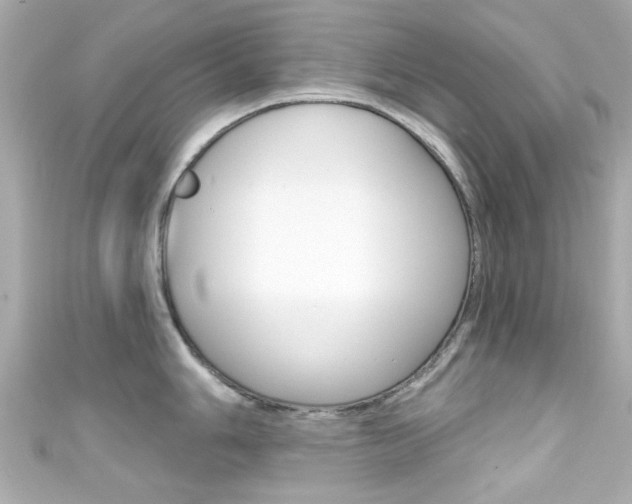 X0000111591006200907161149