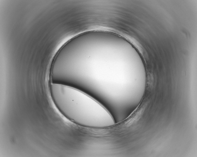 X0000111591007200907161149