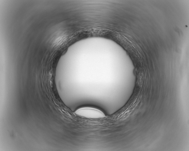 X0000111591010200907161148
