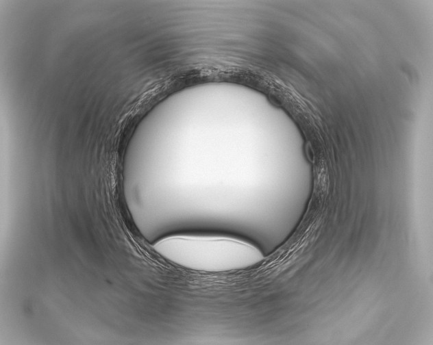 X0000111591012200907161148