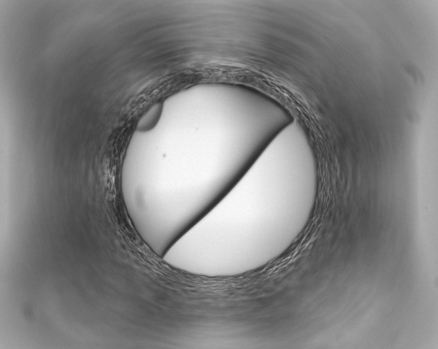 X0000111591013200907161148