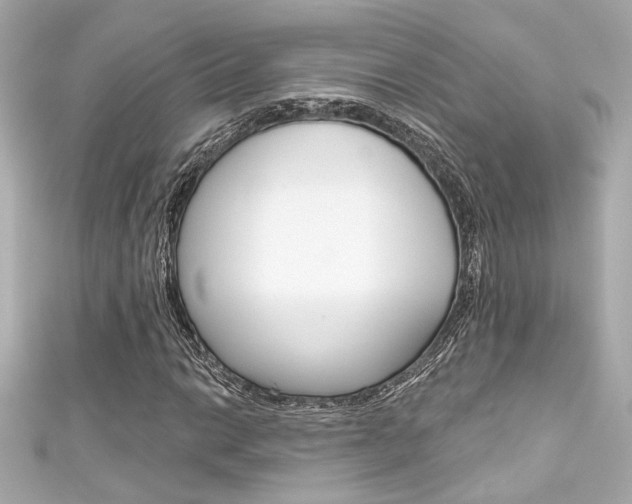 X0000111591014200907161148