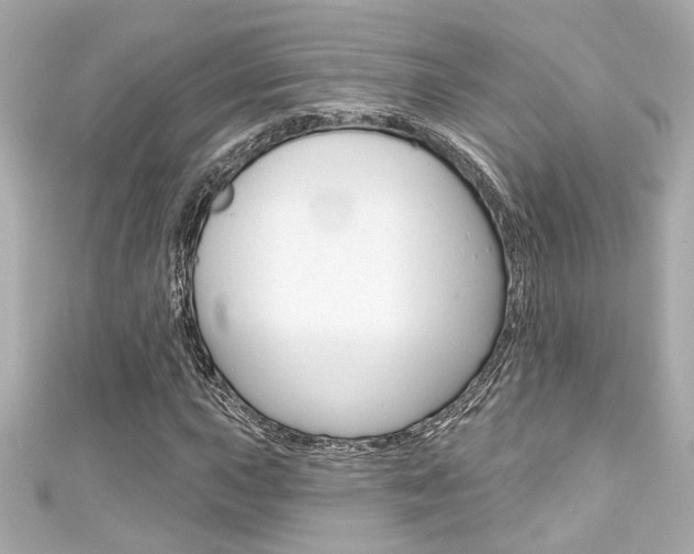 X0000111591015200907161148