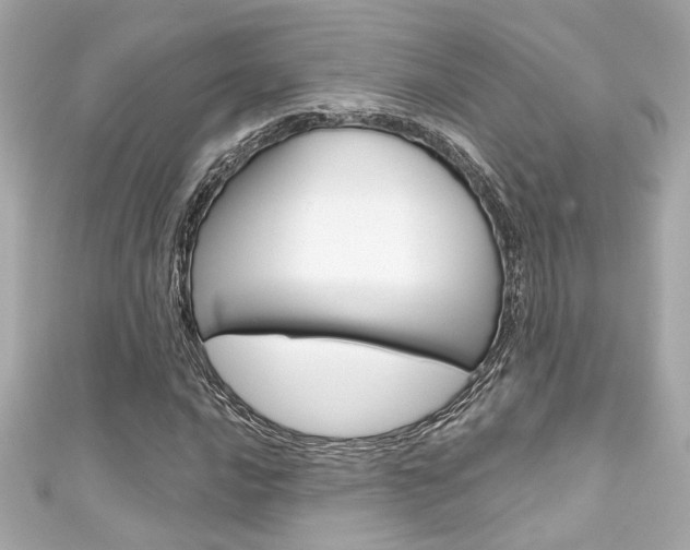 X0000111591016200907161148