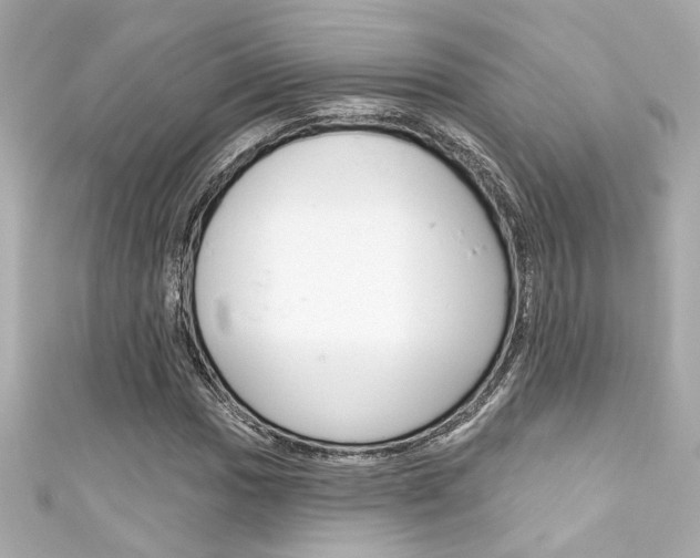X0000111591017200907161149