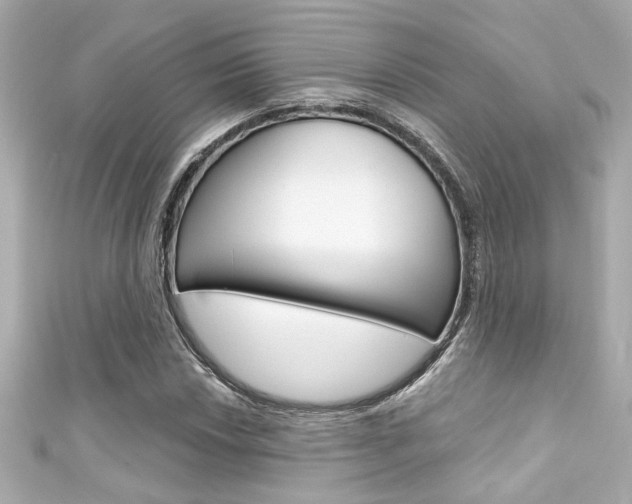 X0000111591018200907161149