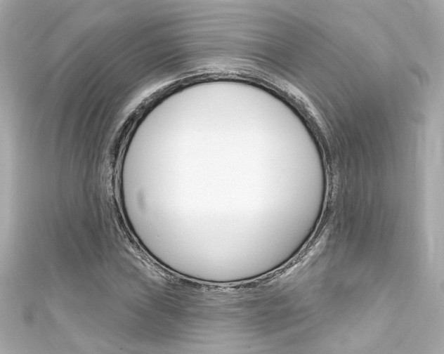 X0000111591019200907161149
