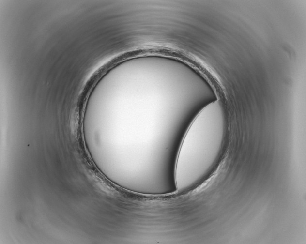 X0000111591021200907161149