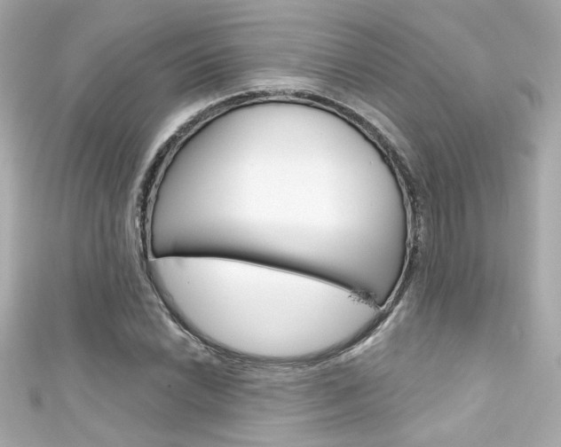 X0000111591022200907161149