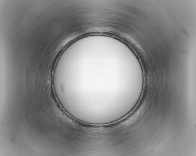 X0000111591025200907161149