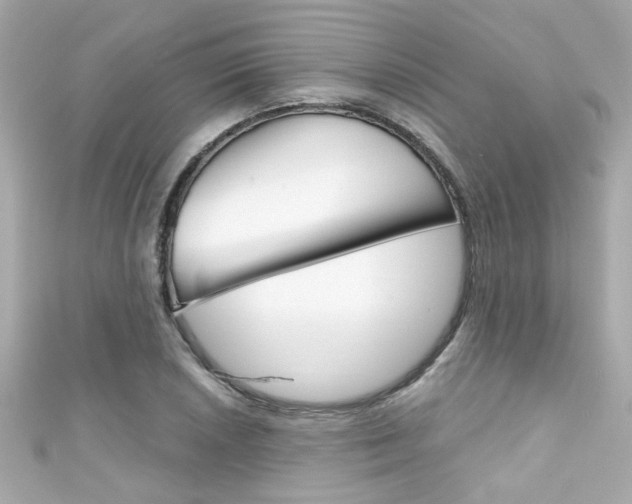X0000111591026200907161149