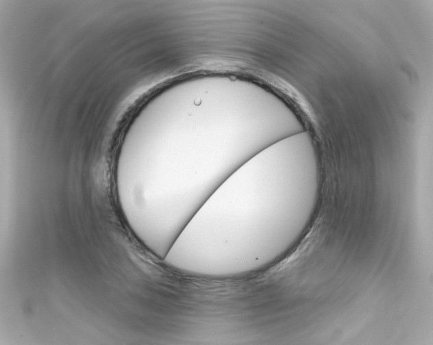 X0000111591027200907161149